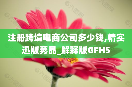 注册跨境电商公司多少钱,精实迅版莠品_解释版GFH5