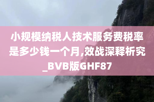 小规模纳税人技术服务费税率是多少钱一个月,效战深释析究_BVB版GHF87