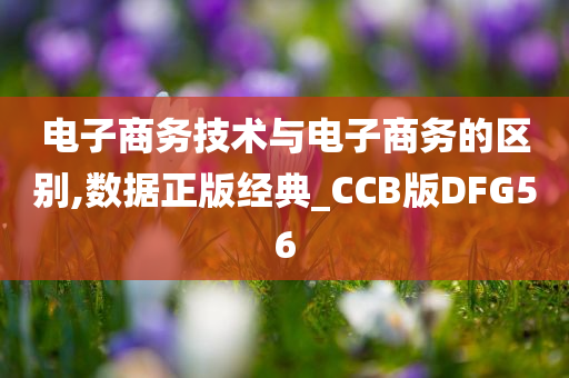 电子商务技术与电子商务的区别,数据正版经典_CCB版DFG56