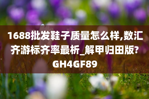 1688批发鞋子质量怎么样,数汇齐游标齐率最析_解甲归田版?GH4GF89