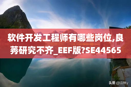 软件开发工程师有哪些岗位,良莠研究不齐_EEF版?SE44565