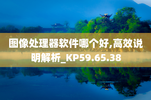 图像处理器软件哪个好,高效说明解析_KP59.65.38