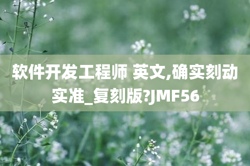 软件开发工程师 英文,确实刻动实准_复刻版?JMF56