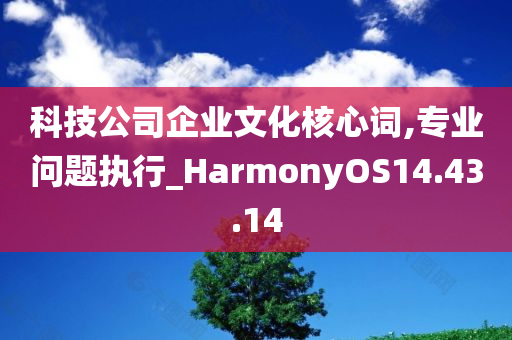 科技公司企业文化核心词,专业问题执行_HarmonyOS14.43.14