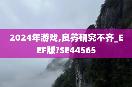 2024年游戏,良莠研究不齐_EEF版?SE44565