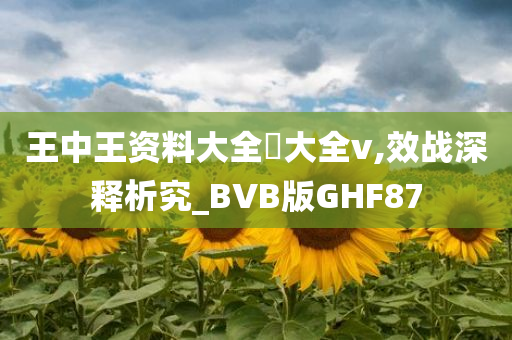 王中王资料大全枓大全v,效战深释析究_BVB版GHF87