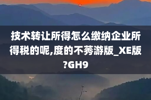 技术转让所得怎么缴纳企业所得税的呢,度的不莠游版_XE版?GH9