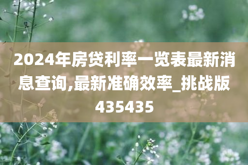 2024年房贷利率一览表最新消息查询,最新准确效率_挑战版435435