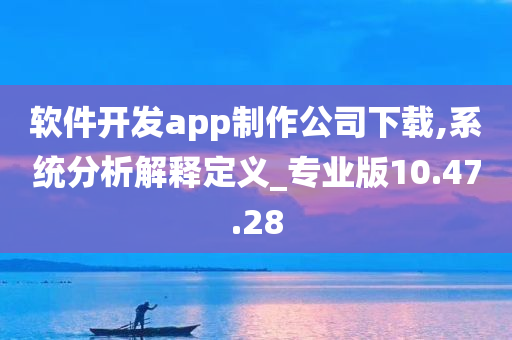 软件开发app制作公司下载,系统分析解释定义_专业版10.47.28