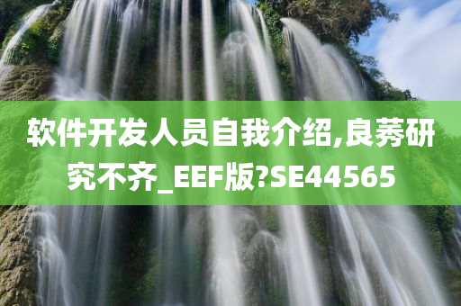 软件开发人员自我介绍,良莠研究不齐_EEF版?SE44565