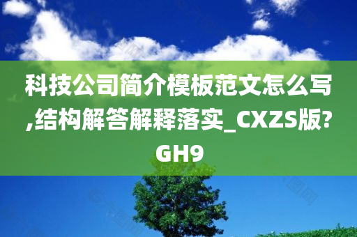 科技公司简介模板范文怎么写,结构解答解释落实_CXZS版?GH9