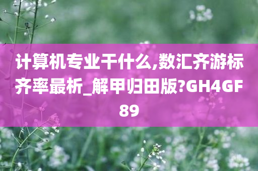 计算机专业干什么,数汇齐游标齐率最析_解甲归田版?GH4GF89