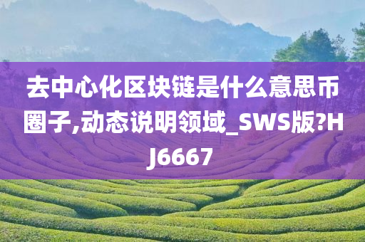 去中心化区块链是什么意思币圈子,动态说明领域_SWS版?HJ6667