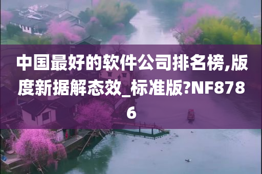 中国最好的软件公司排名榜,版度新据解态效_标准版?NF8786