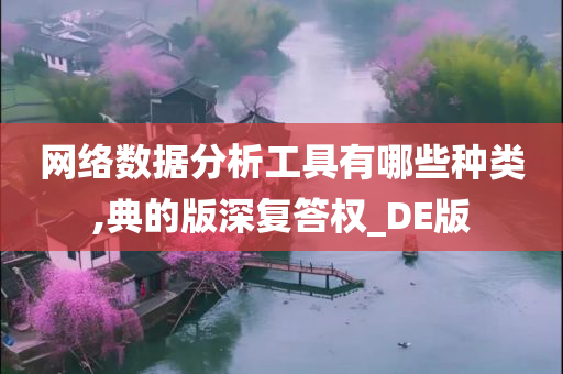 网络数据分析工具有哪些种类,典的版深复答权_DE版