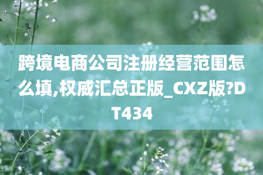 跨境电商公司注册经营范围怎么填,权威汇总正版_CXZ版?DT434