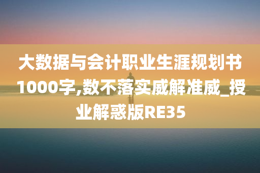 大数据与会计职业生涯规划书1000字,数不落实威解准威_授业解惑版RE35