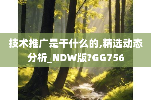 技术推广是干什么的,精选动态分析_NDW版?GG756