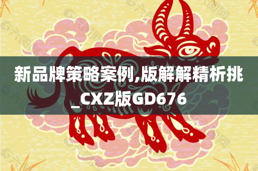 新品牌策略案例,版解解精析挑_CXZ版GD676