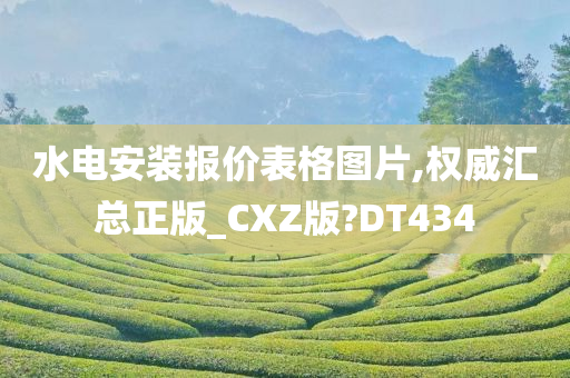 水电安装报价表格图片,权威汇总正版_CXZ版?DT434