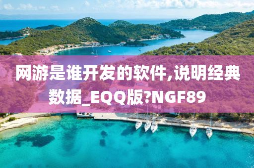 网游是谁开发的软件,说明经典数据_EQQ版?NGF89