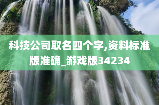 科技公司取名四个字,资料标准版准确_游戏版34234