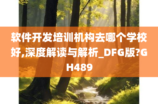 软件开发培训机构去哪个学校好,深度解读与解析_DFG版?GH489