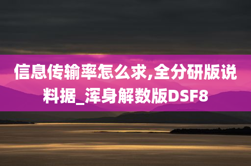 信息传输率怎么求,全分研版说料据_浑身解数版DSF8