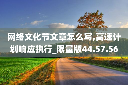 网络文化节文章怎么写,高速计划响应执行_限量版44.57.56