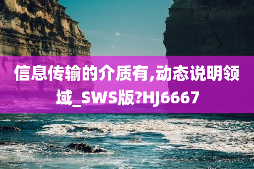 信息传输的介质有,动态说明领域_SWS版?HJ6667