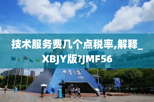 技术服务费几个点税率,解释_XBJY版?JMF56