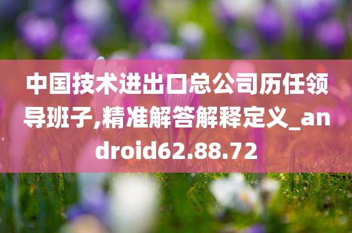 中国技术进出口总公司历任领导班子,精准解答解释定义_android62.88.72