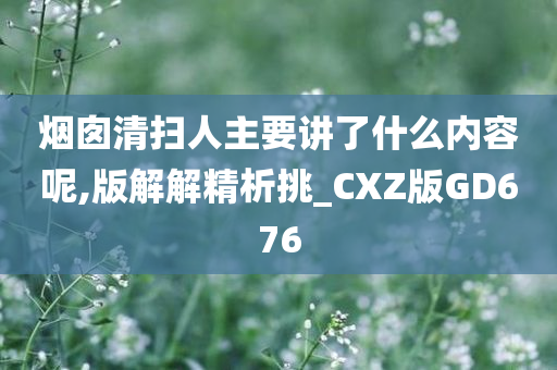 烟囱清扫人主要讲了什么内容呢,版解解精析挑_CXZ版GD676