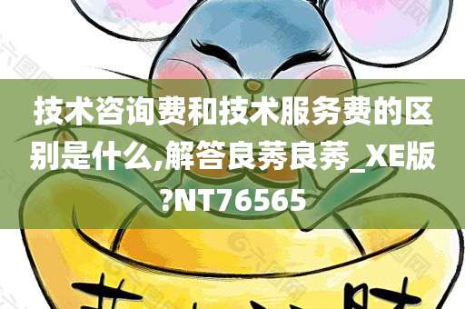 技术咨询费 第2页