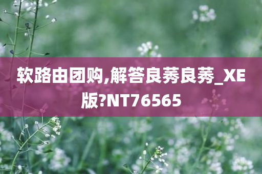 软路由团购,解答良莠良莠_XE版?NT76565