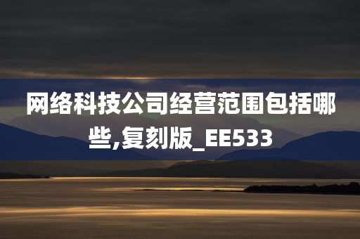 网络科技公司经营范围包括哪些,复刻版_EE533