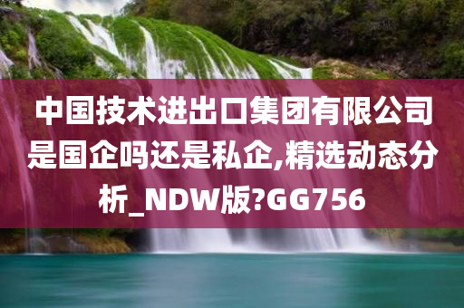 中国技术进出口集团有限公司是国企吗还是私企,精选动态分析_NDW版?GG756