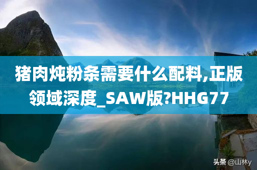 猪肉炖粉条需要什么配料,正版领域深度_SAW版?HHG77