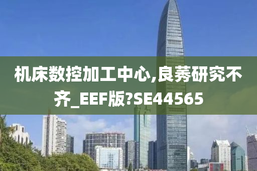 机床数控加工中心,良莠研究不齐_EEF版?SE44565