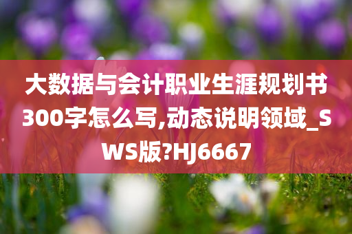 大数据与会计职业生涯规划书300字怎么写,动态说明领域_SWS版?HJ6667