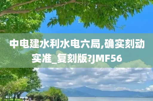 中电建水利水电六局,确实刻动实准_复刻版?JMF56