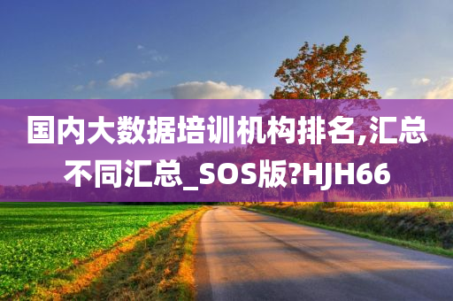 国内大数据培训机构排名,汇总不同汇总_SOS版?HJH66