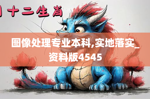 图像处理专业本科,实地落实_资料版4545