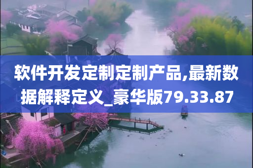 软件开发定制定制产品,最新数据解释定义_豪华版79.33.87