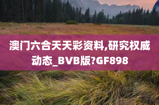 澳门六合天天彩资料,研究权威动态_BVB版?GF898