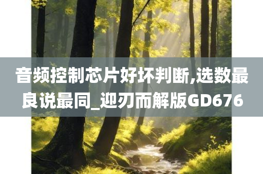 音频控制芯片好坏判断,选数最良说最同_迎刃而解版GD676