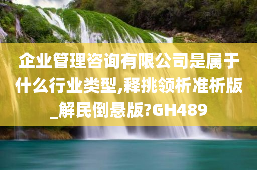 企业管理咨询有限公司是属于什么行业类型,释挑领析准析版_解民倒悬版?GH489