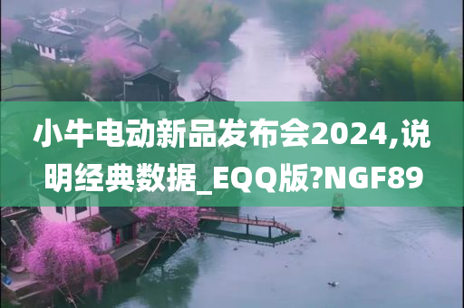 小牛电动新品发布会2024,说明经典数据_EQQ版?NGF89