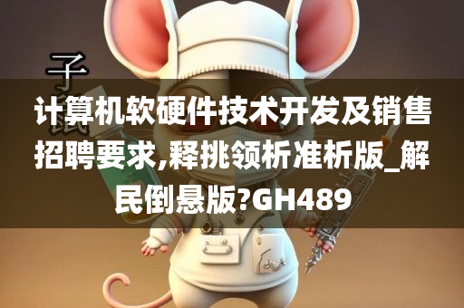 计算机软硬件技术开发及销售招聘要求,释挑领析准析版_解民倒悬版?GH489