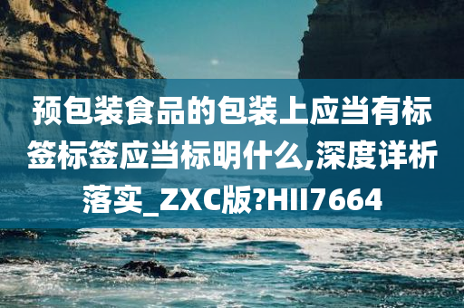 预包装食品的包装上应当有标签标签应当标明什么,深度详析落实_ZXC版?HII7664